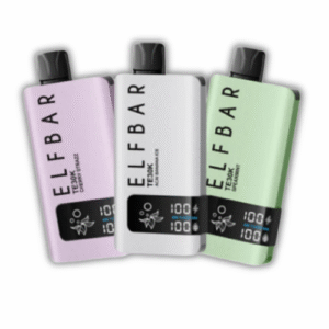 POD DESCARTABLE ELFBAR TE30K - SPEARMINT
