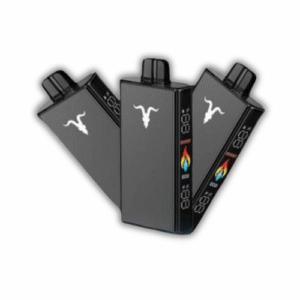 POD DESCARTABLE IGNITE V250 25000 PUFFS – CACTUS LIME SODA